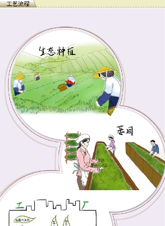 监测合格率975%以上 我国绿色农产品供给能力稳步增强