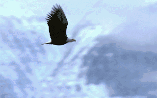 上市公司动态 新诺威、均胜电子、科兴制药、三只松鼠等企业推进H股上市进程